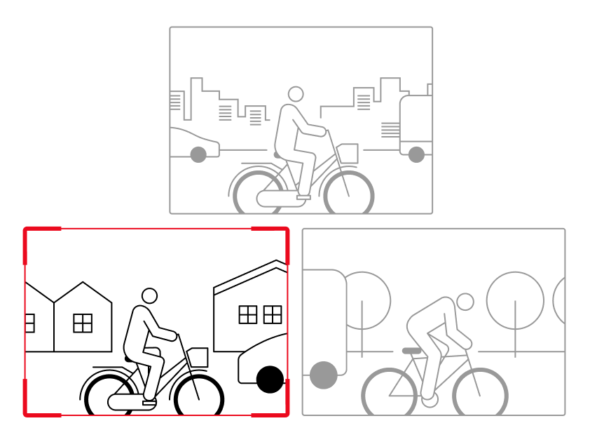 Experts and experience guide training